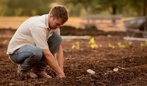 Agricultura