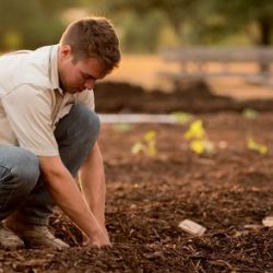 Agricultura